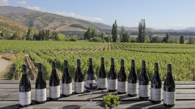 WWC20 Felton Road Central Otago JancisRobinson